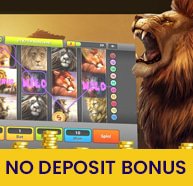 free-usa-casinos/lion-slots-casino-review